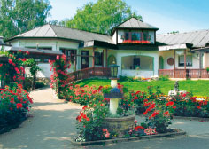 Camping Rüdesheim am Rhein