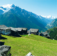 wallis
