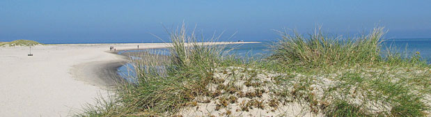 camping-dk-2013-1