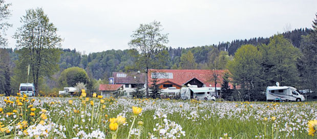 Bodensee fkk camping Camping at